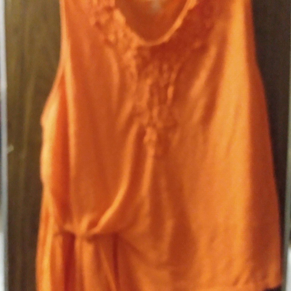 lane Bryant Sleeveless Top, sz  22/24, Orange, 56%Rayon 44% polyester, pre-owned - Picture 2 of 7